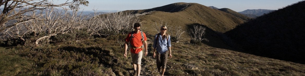 View-Walk-Summer-Razorback-4x1 Bright, Romantic Escapes