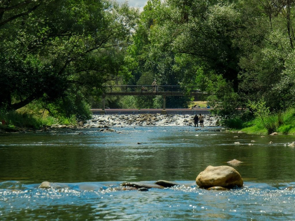 Swim Ovens River Bright summer 4_3