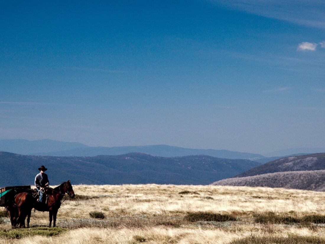New Years Eve Pack Horse Adventure New Years Eve Pack Horse Adventure