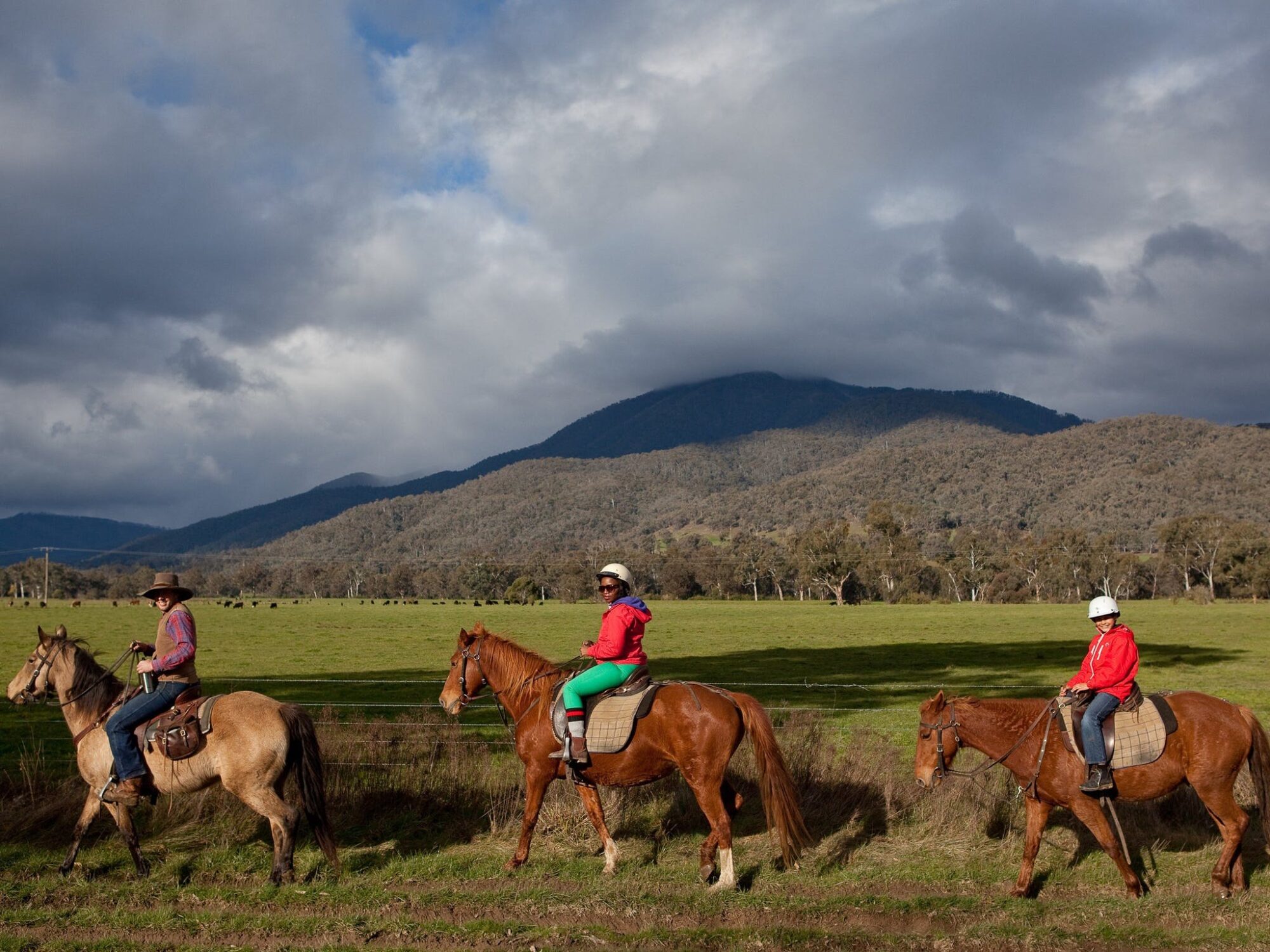 Daily Trail Rides