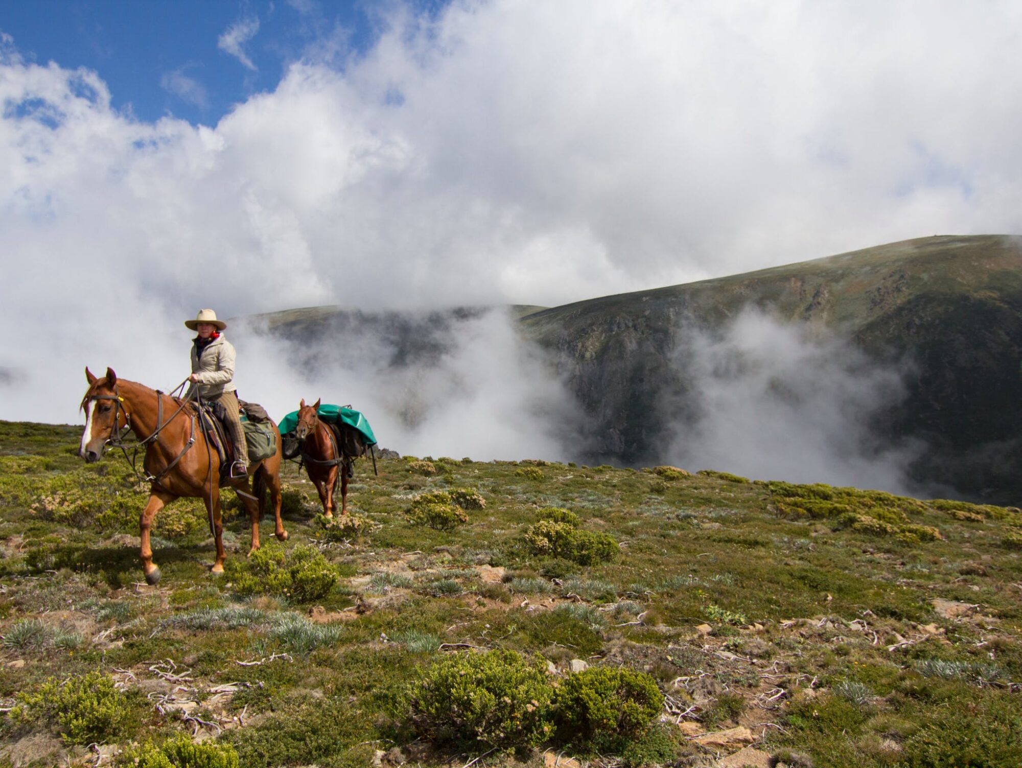 Mt Bogong Pack Horse Tour