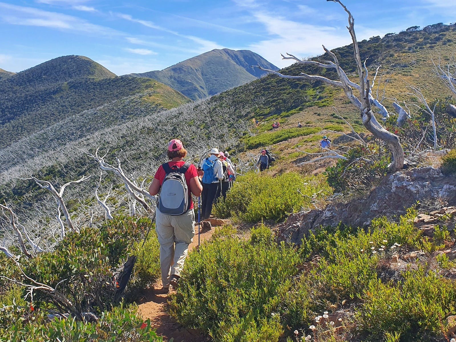 Hedonistic Hiking's Hiking the Victorian Alps