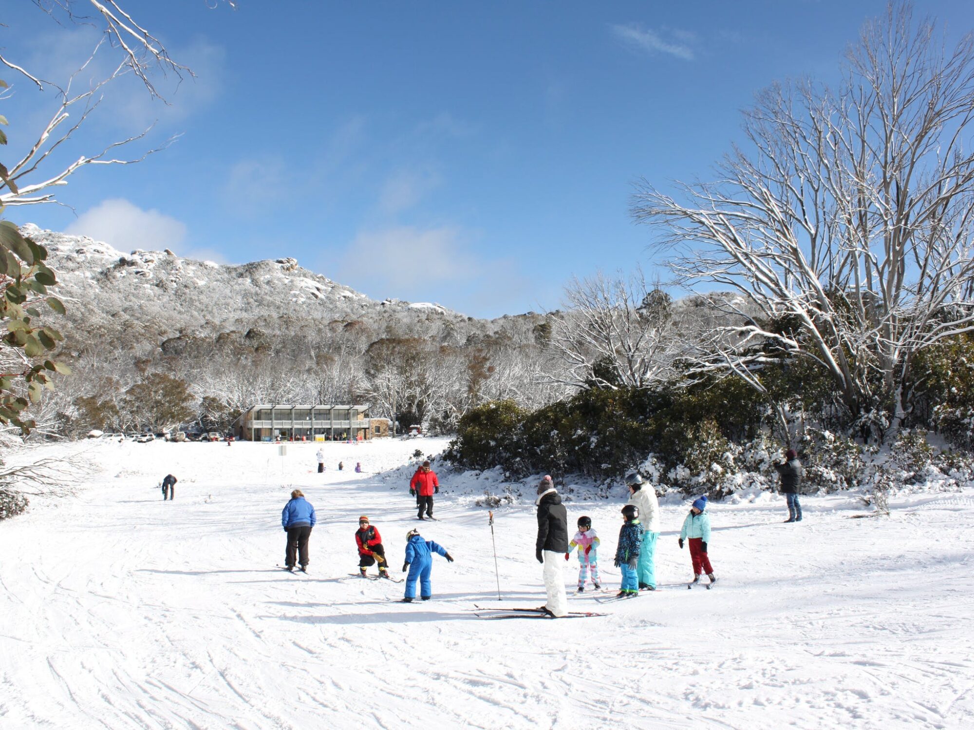 Cross Country Ski lessons and Tours at Mount Buffalo National Park