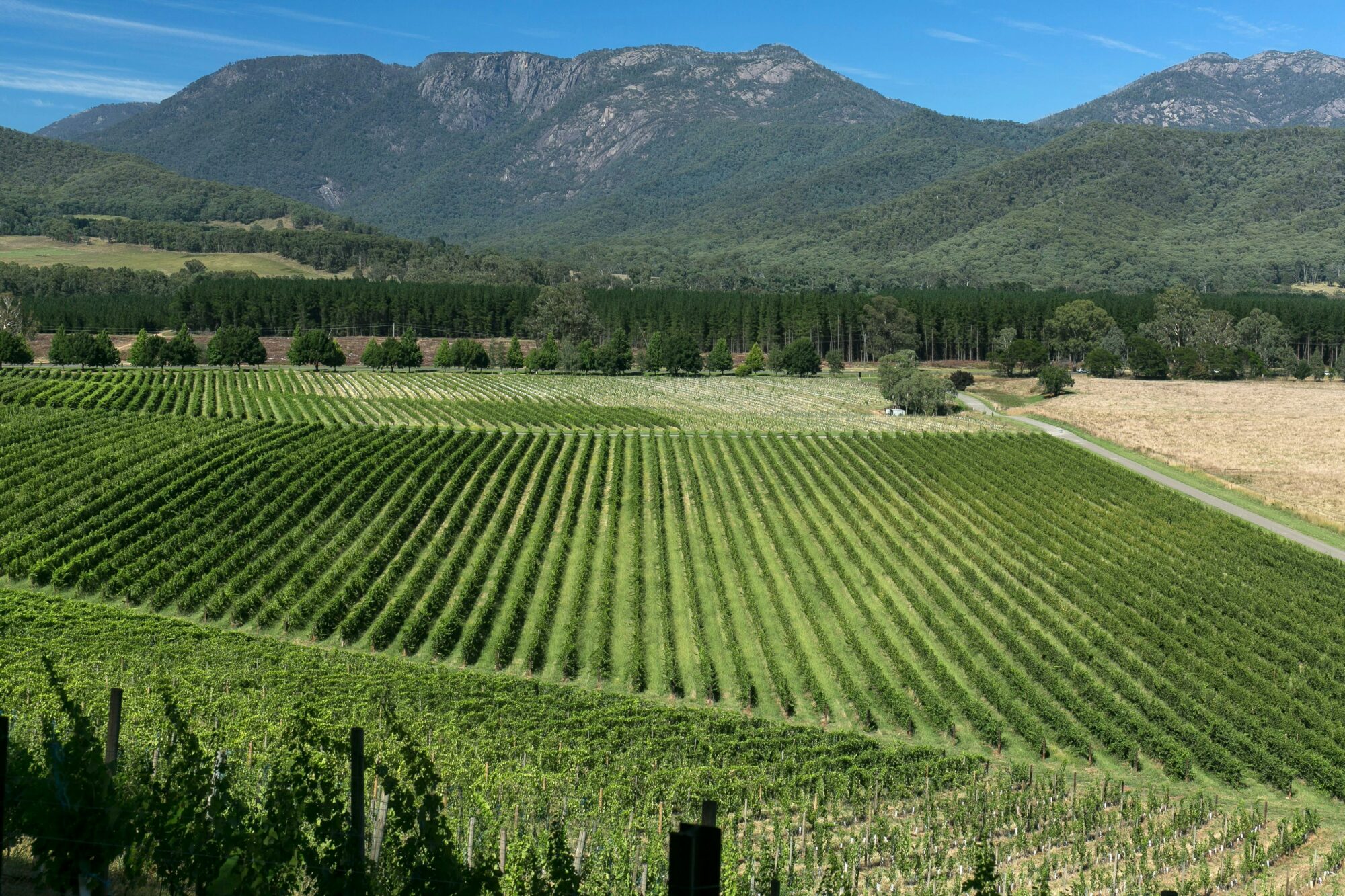 Mount Buffalo View Apartment - Feathertop Winery Mount Buffalo View Apartment - Feathertop Winery