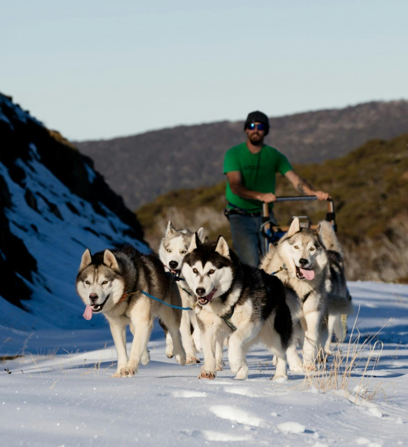 Howling Husky Park Howling Husky Park