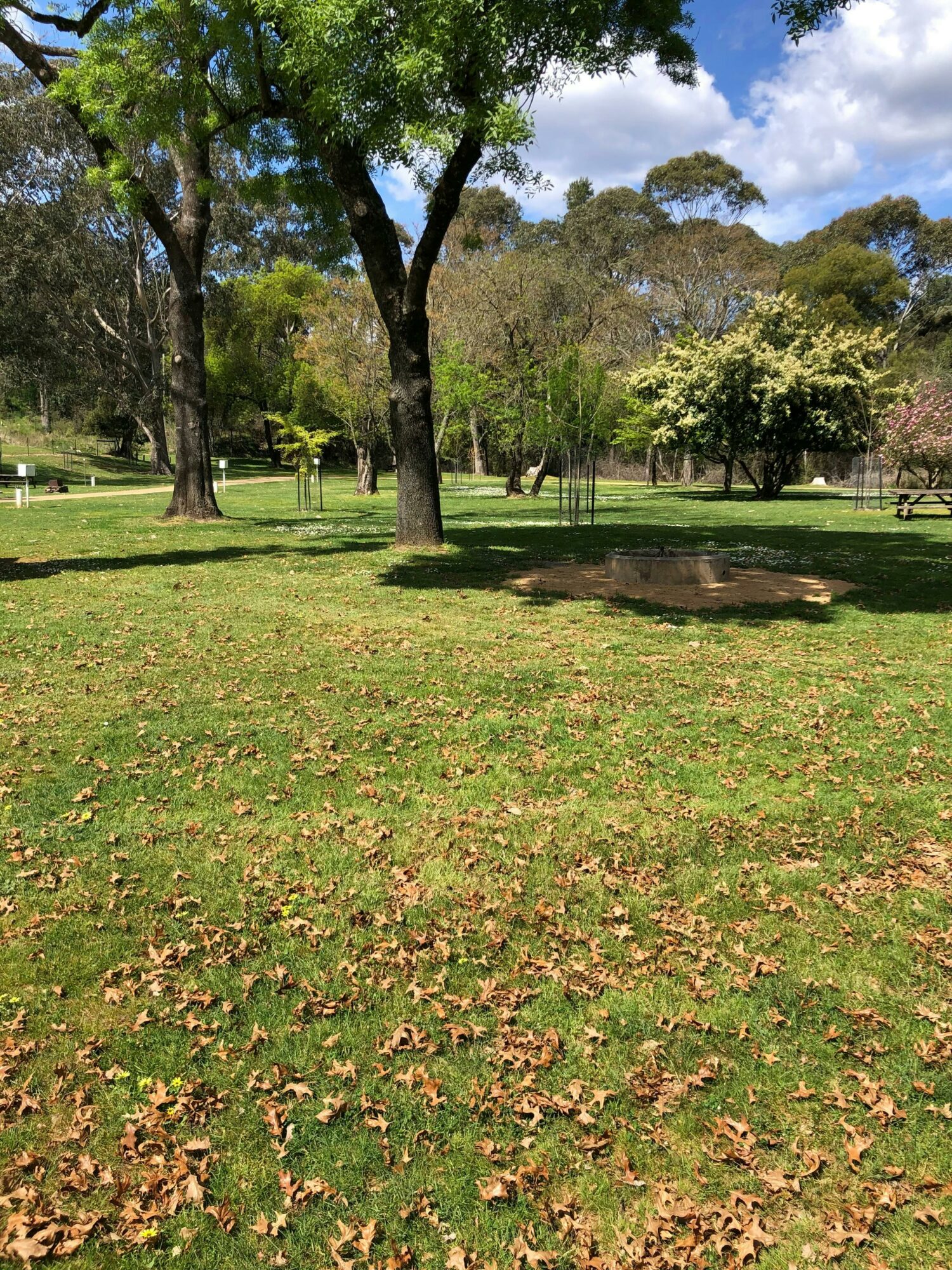 Wandiligong Camping Ground Wandiligong Camping Ground
