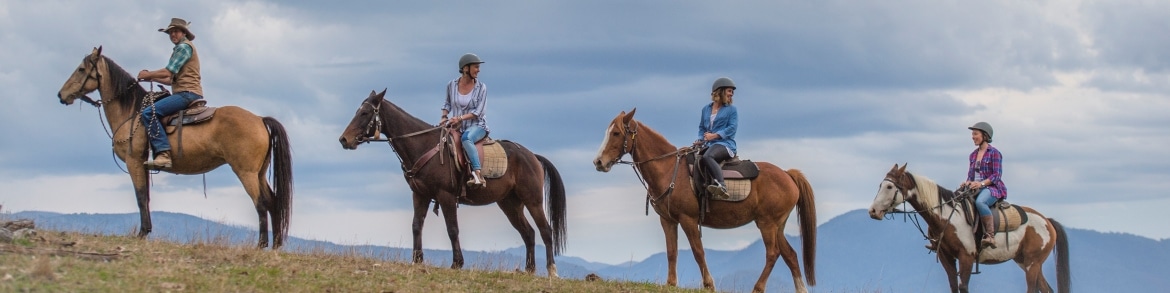 horseriding_mtbeauty_autumn_4_1 Horse riding in Mount Beauty