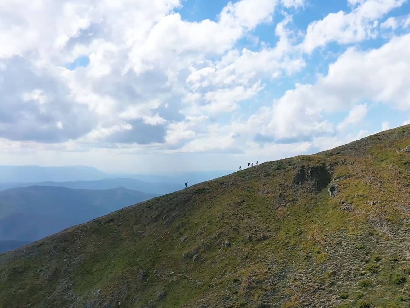 Razorback walk, Alpine National Park