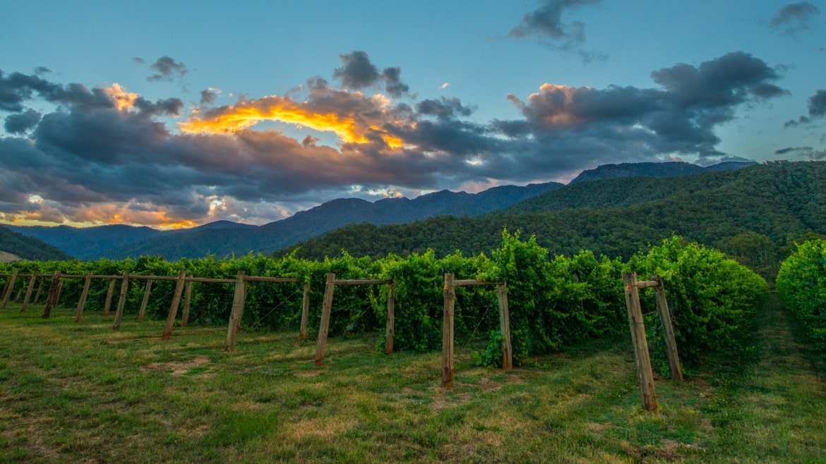 Buckland Valley in Bright, Victoria
