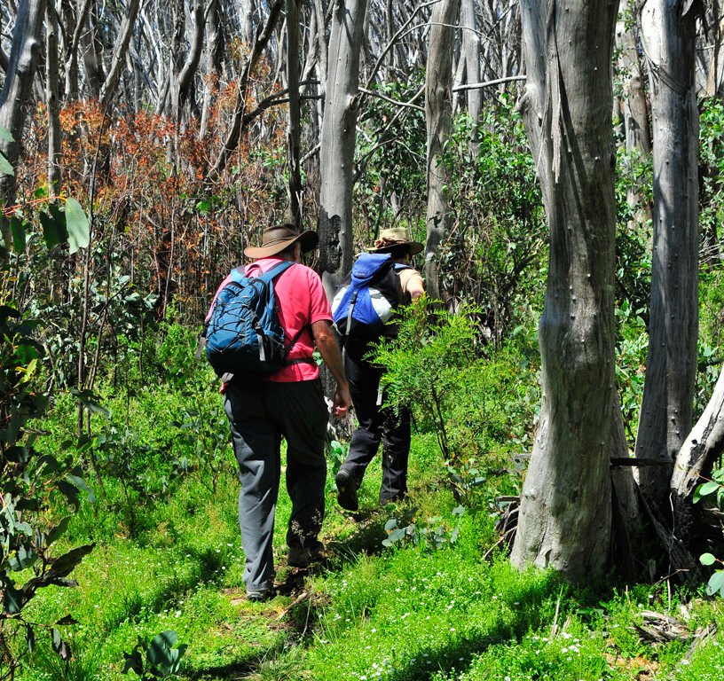 Rocky Creek Track