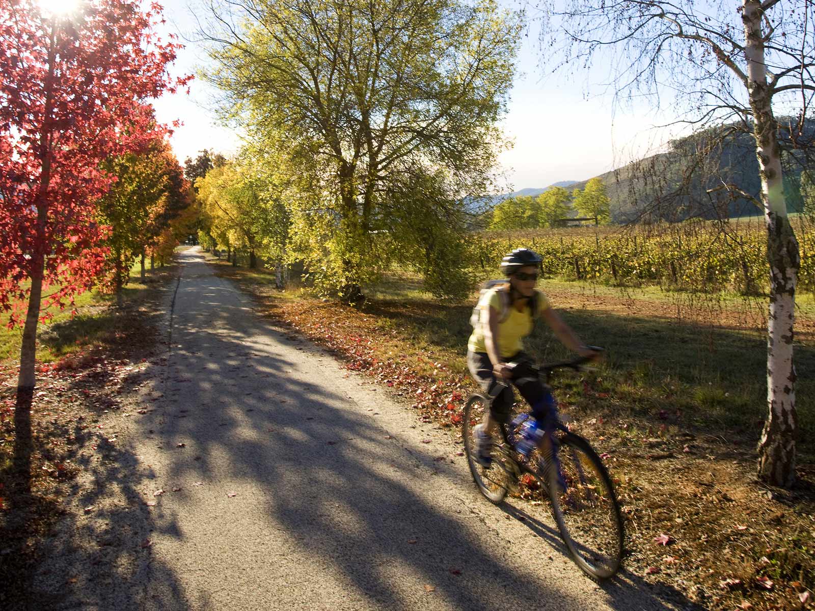 Bright, Pedals & Pilates