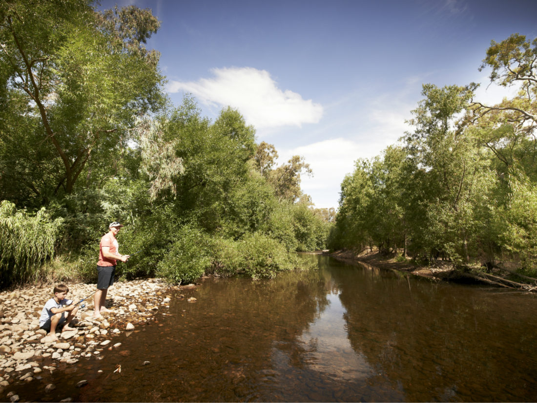 Dandongadale River Fishing