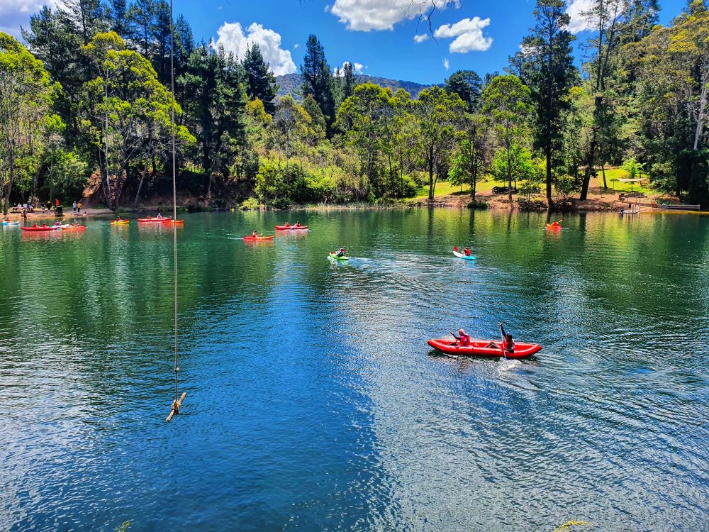 Harrietville Swimming dredge boats