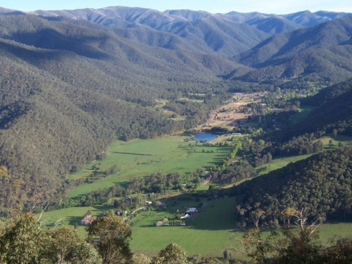 Harrietville Town