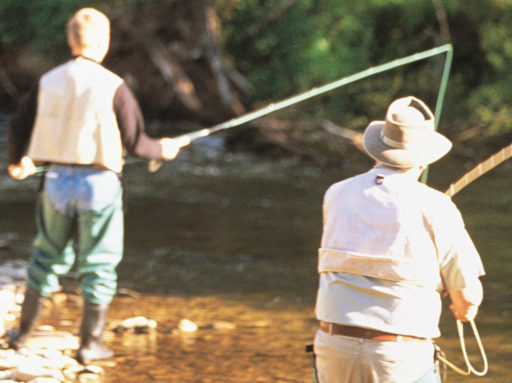 Harrietville trout fly fishing