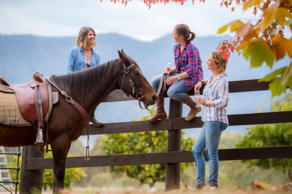 Horseriding3_MtBeauty_Summer