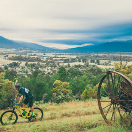 MTB Mt Beauty Mountain Bike Park Ride High Country