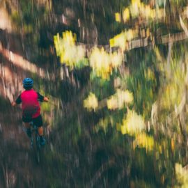 MTB Mt Beauty Mountain Bike Park Ride High Country