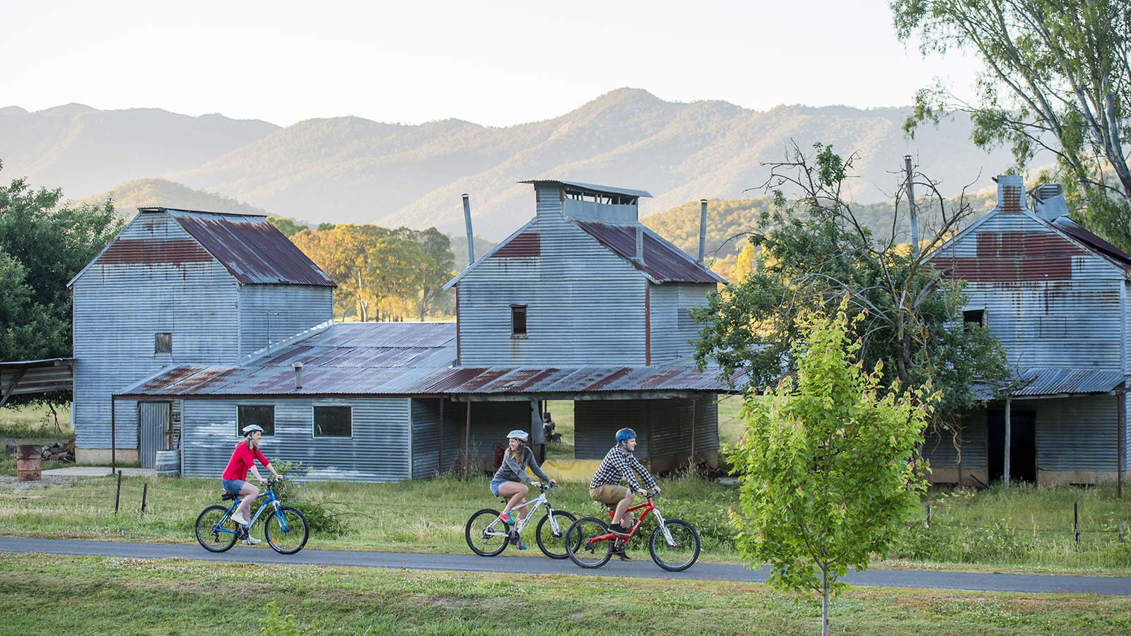 Murray to Mountains Rail Trail Wangaratta to Bright Bright