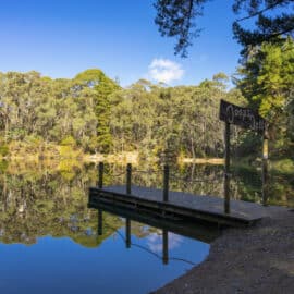 Harrietville Tronoh Dredge Swimming hole