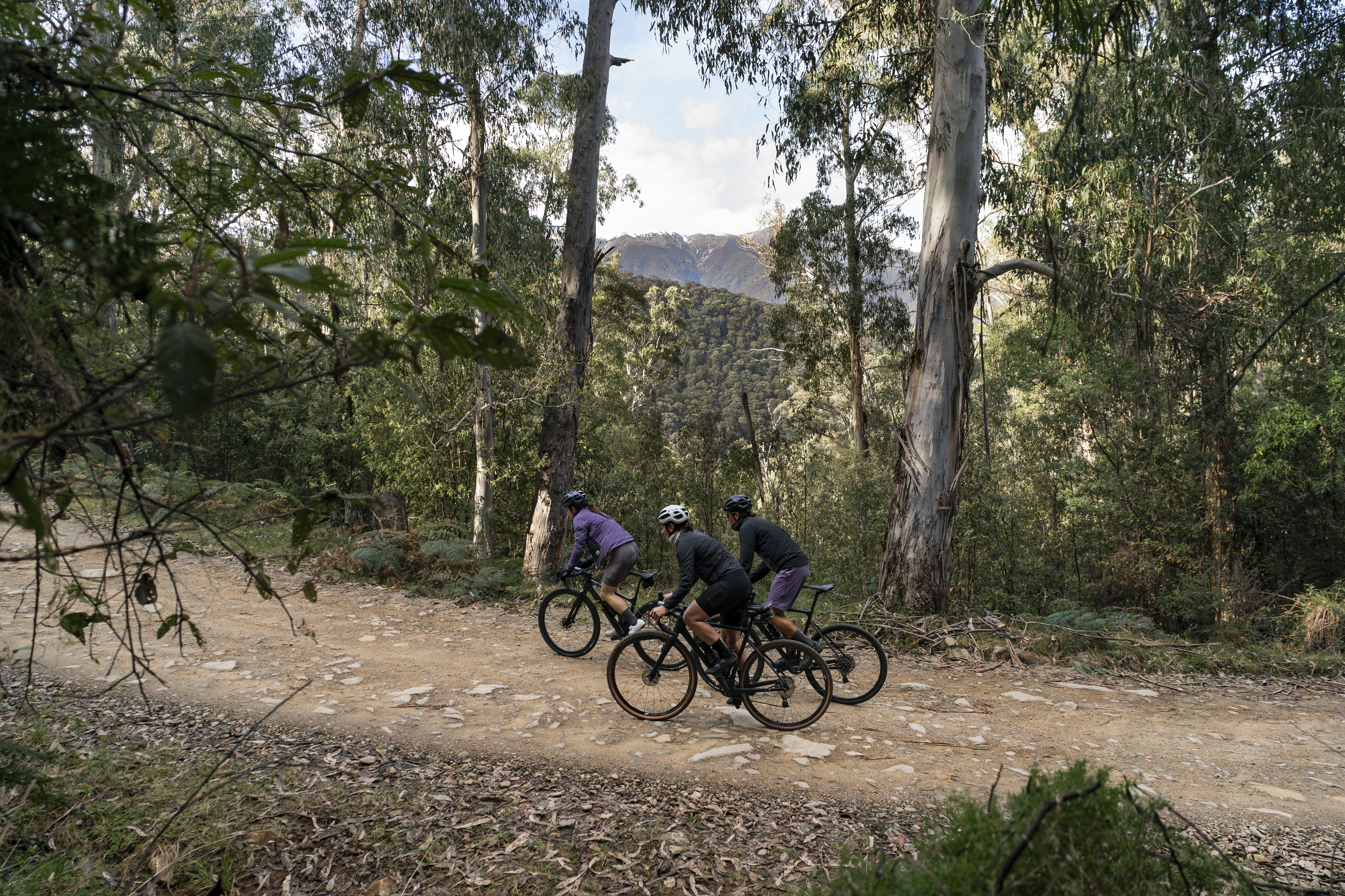 Mount Beauty to Mitta Mitta along Trappers Gap
