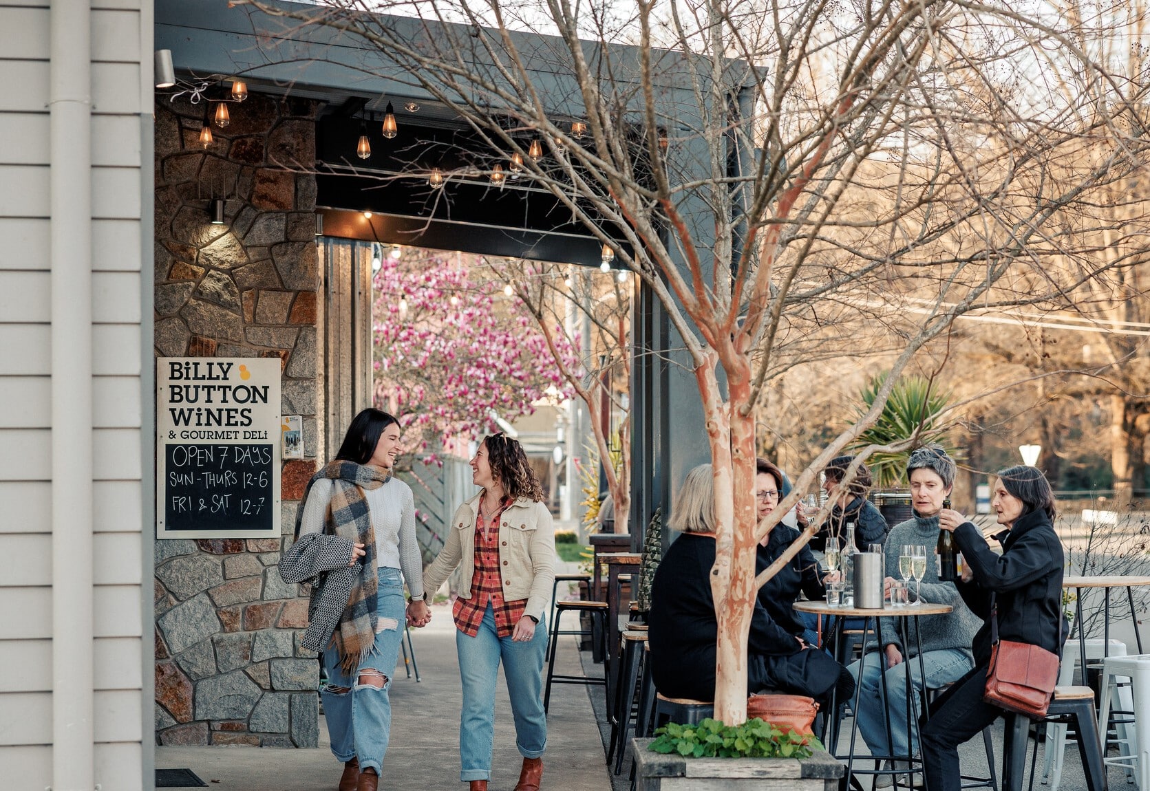 Billy button winery in Bright