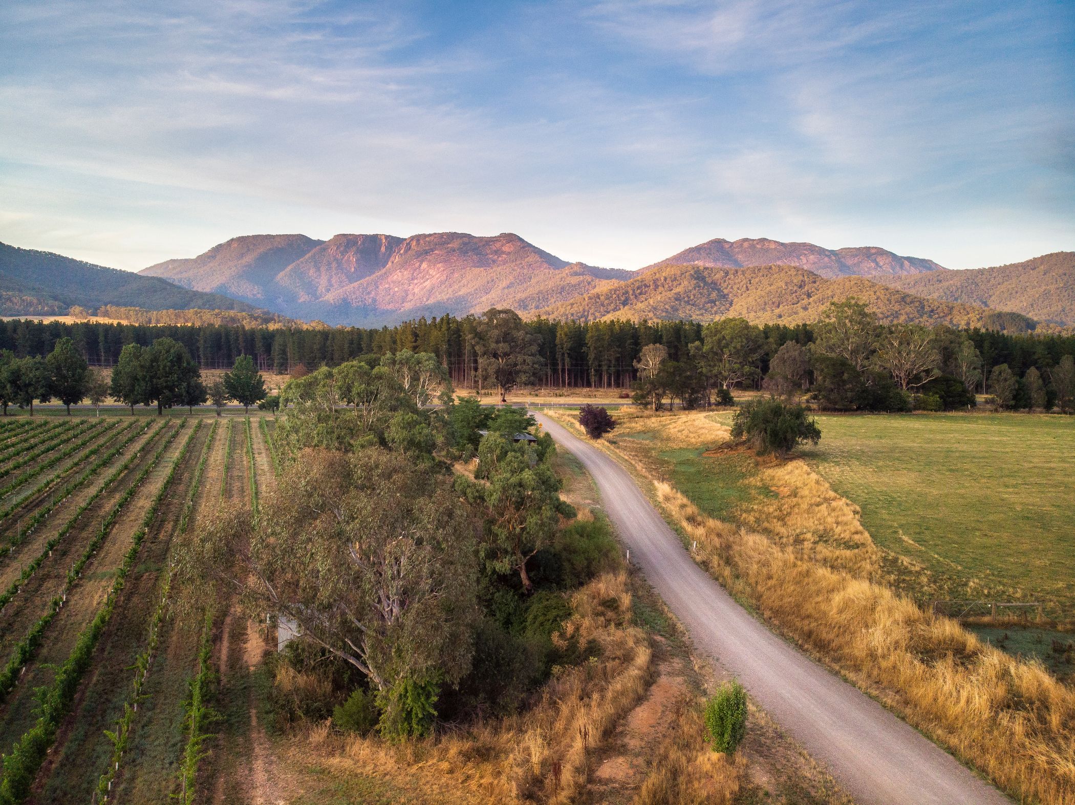 Scenic Drive_Buffalo_Autumn