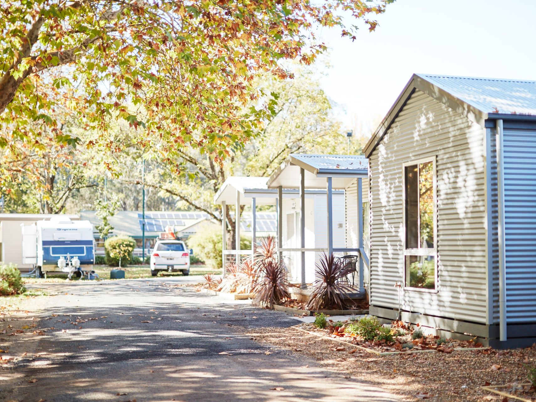 accom park Myrtleford autumn 4_3