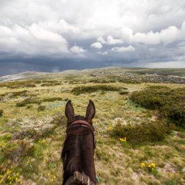 Riding Across the High Plains