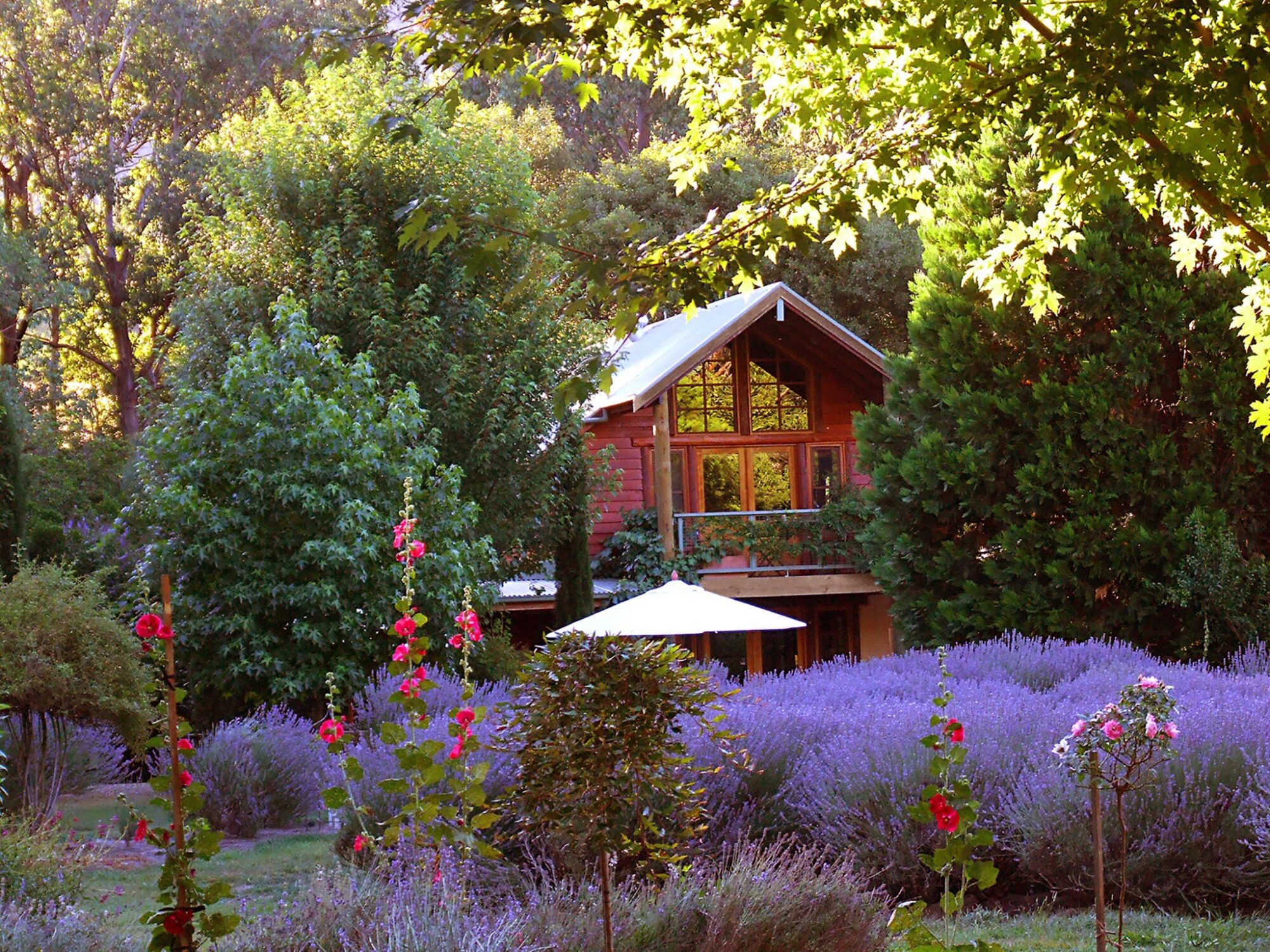 Lavender Hue B&amp;B and Tea Rooms