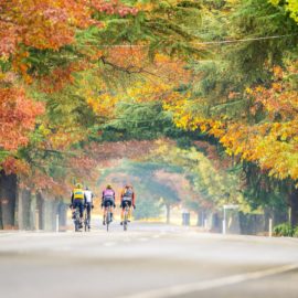 Road riding in Autumn