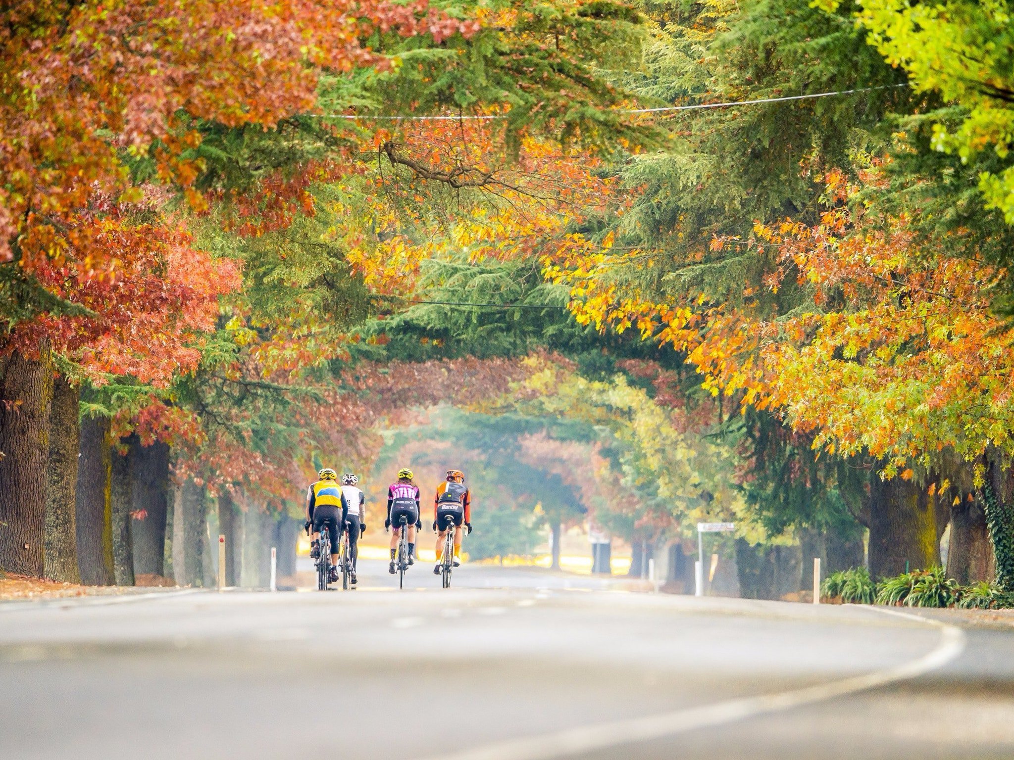 Road riding in Autumn