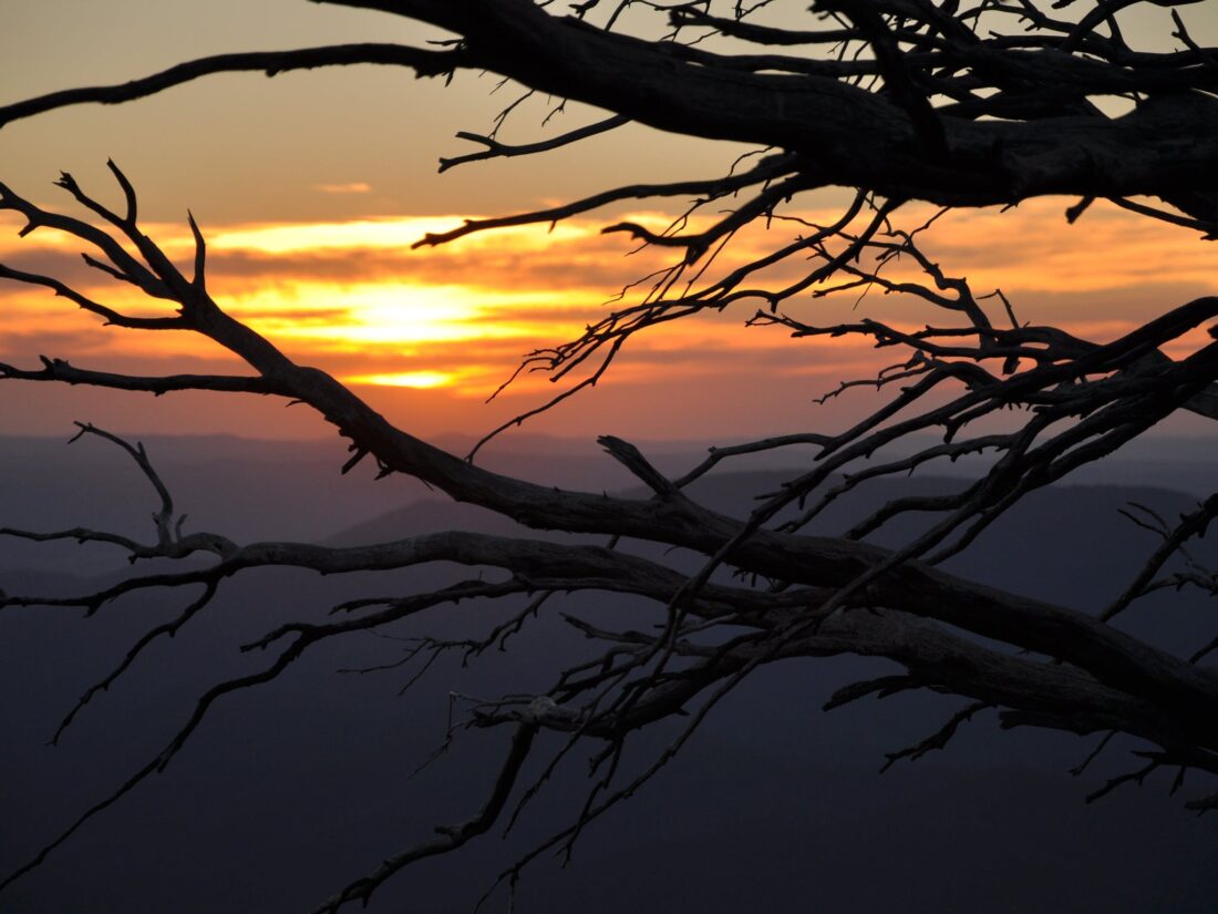 Hedonistic Hiking's Sunset Dinners on Mount Buffalo