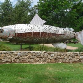 Mountain Fresh Trout and Salmon Farm Entrance