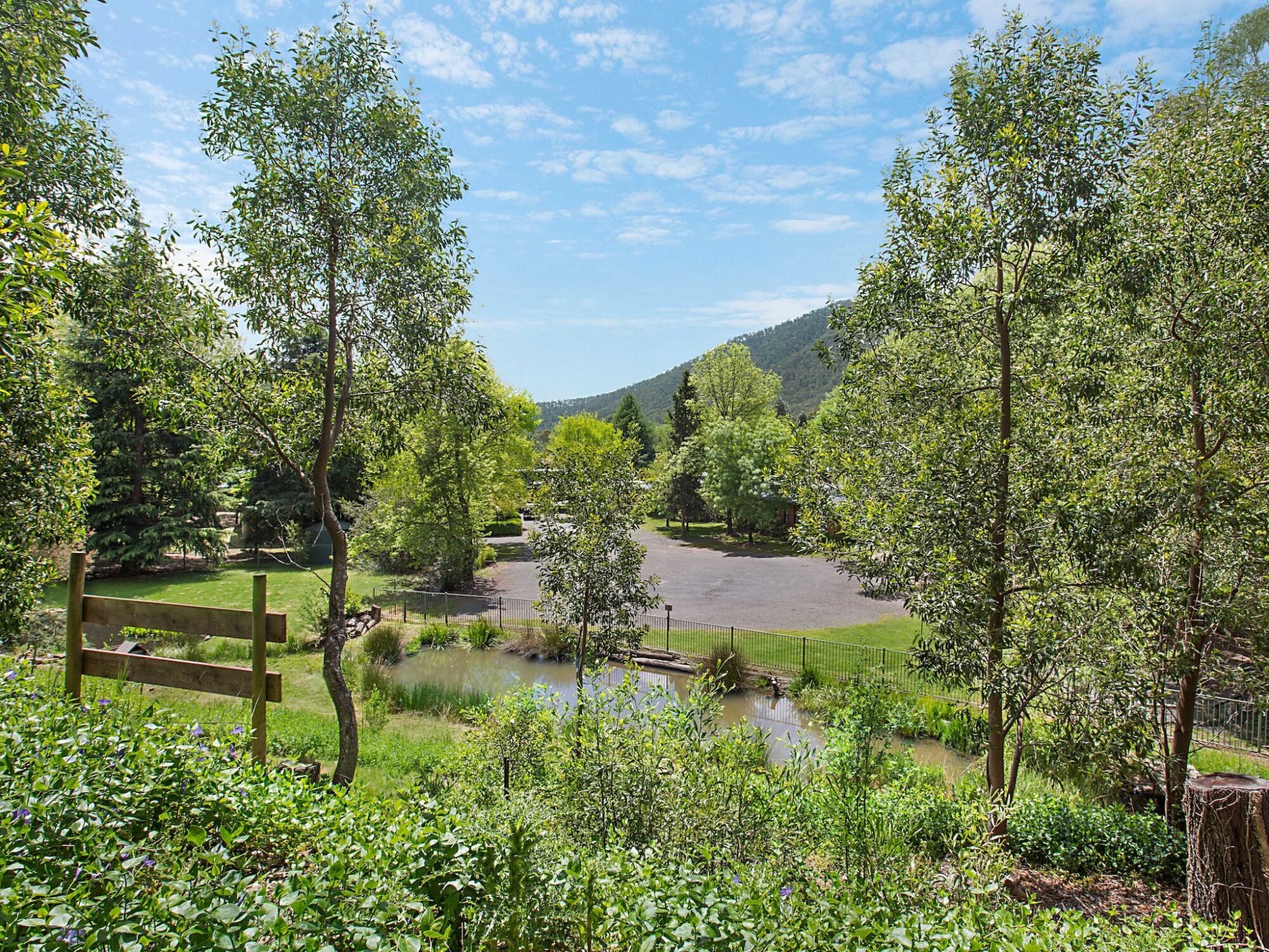 Feathertop Chalet