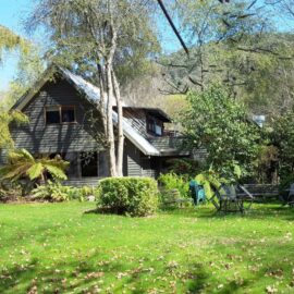 Mountain View Front Garden