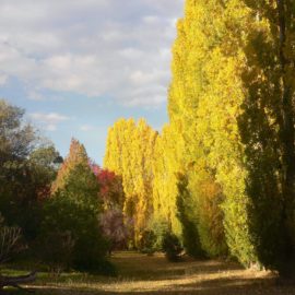 Canyon Walk adjoins the riverside property