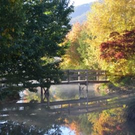 Nug Nug Wah Homestead