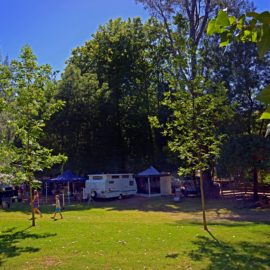 Spacious camp grounds