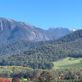 View from the balcony