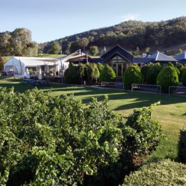 Gapsted Wines - Cellar Door and Restaurant