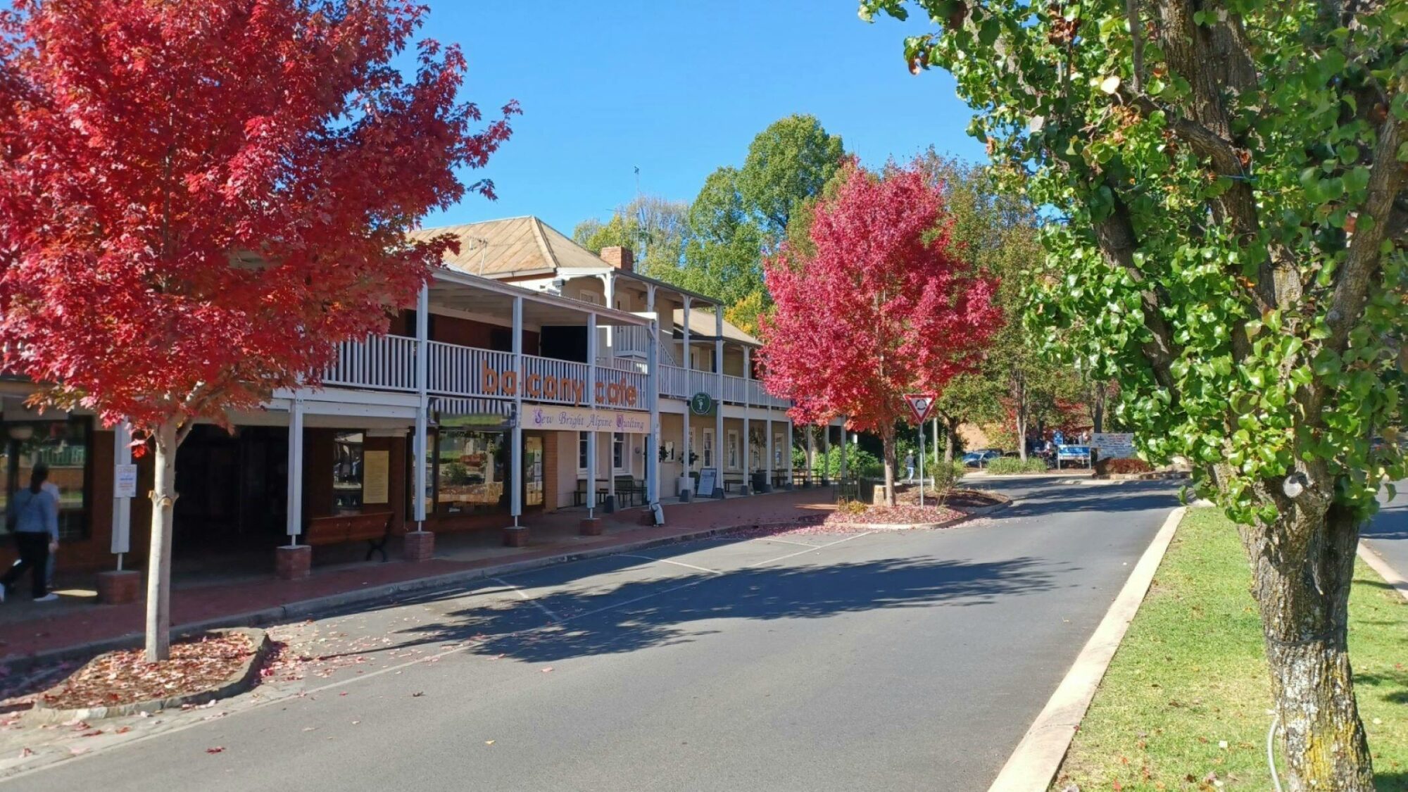 Sew Bright Alpine Quilting