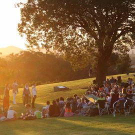 Shakespeare in the Vines - Gapsted Wines