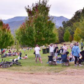 Visitors enjoying a picnic in the vineyard