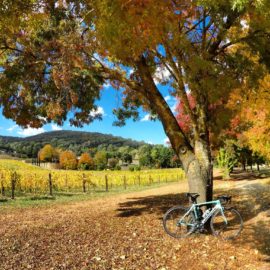 Follow My Wheel Produce Tours