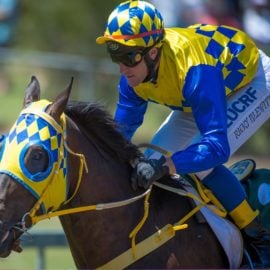 Enjoy grass roots racing at its very best