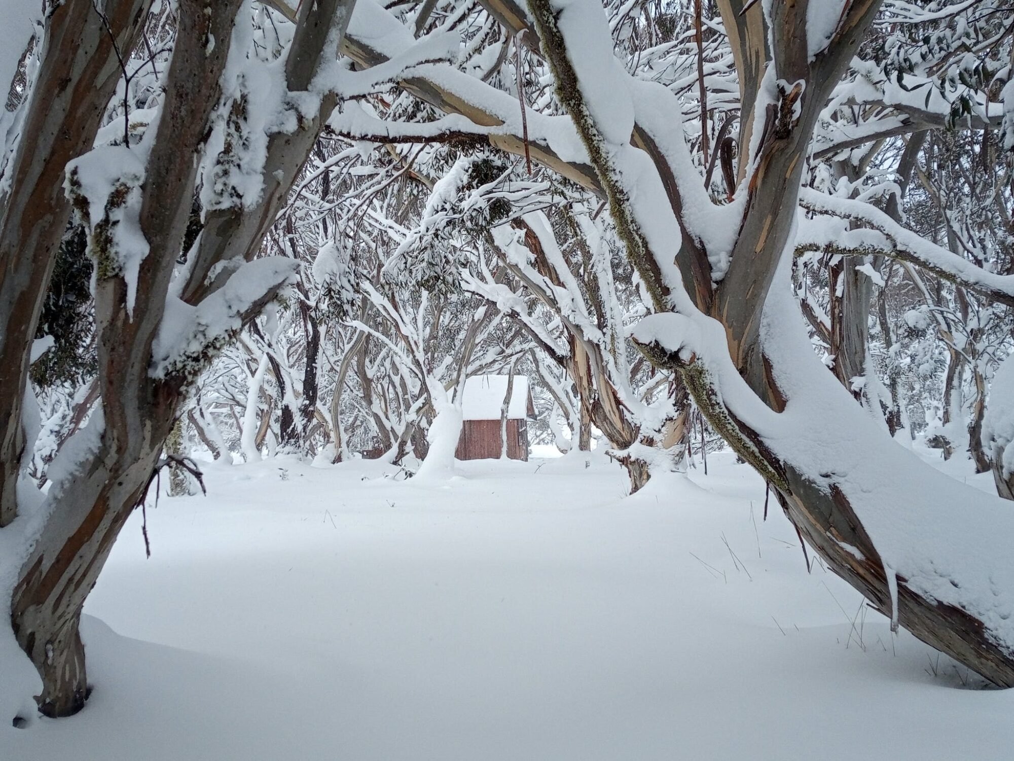 Villages Traverse Snowshoeing Expedition