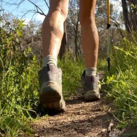 Trekking in the Bush