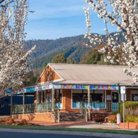 Springtime in Bright & Lollies