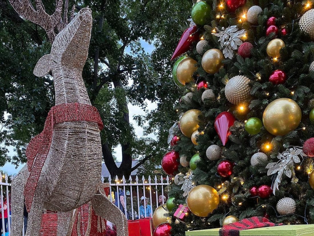 Bright Lights and Winter Nights Twilight Market